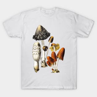 Mushrooms and Fungi T-Shirt